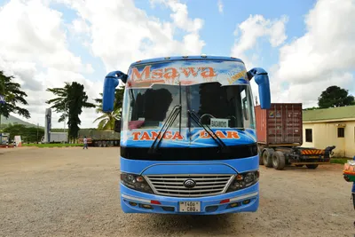 DSC_4375 (Large).JPG